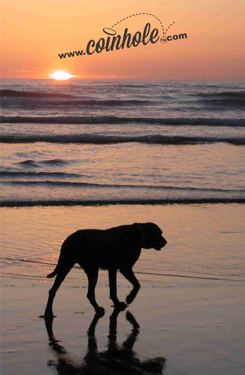 Dog on Beach Coinhole® Game Set