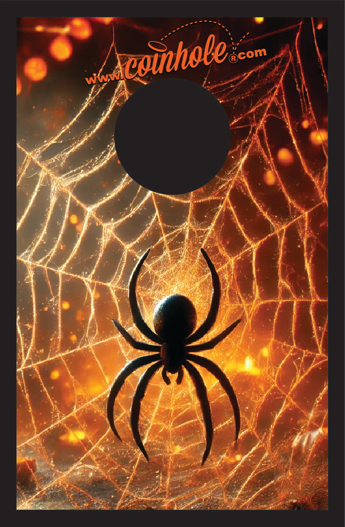 Spider Web Coinhole® Single Board